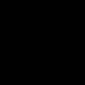 Meet your Posher, Jesus